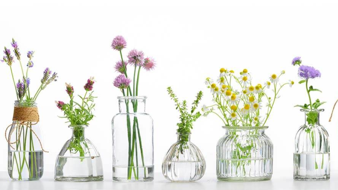 Augusztusban gyűjthető gyógynövények2