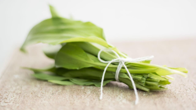 b670fd73-7459-4418-83ff-2c3d45c40a4f