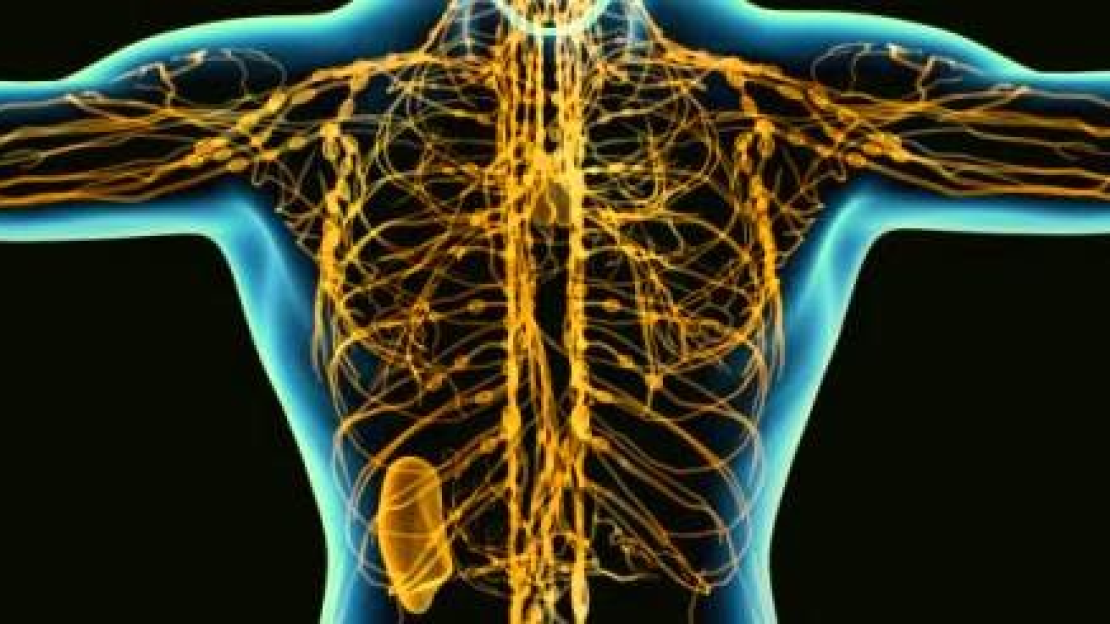 nyirokrendszer tisztítása