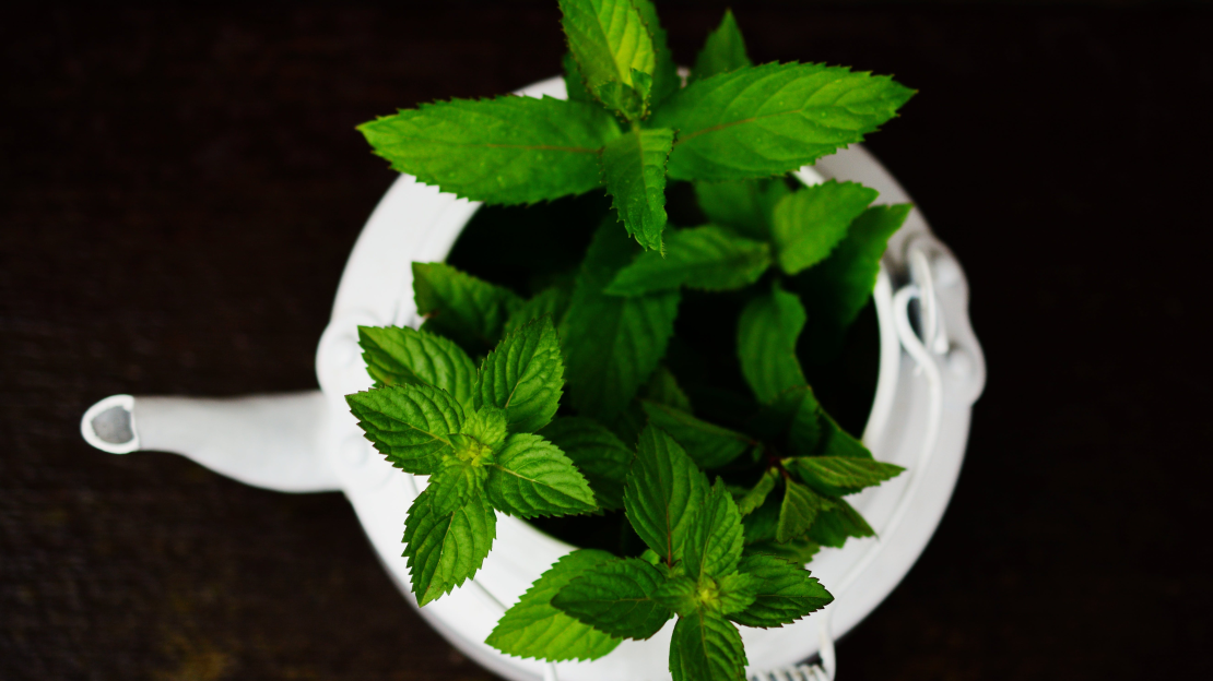 pexels-pixabay-531260