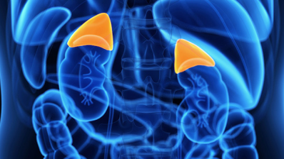 termeszetes-megoldasok-a-mellekvese-elegtelenseg