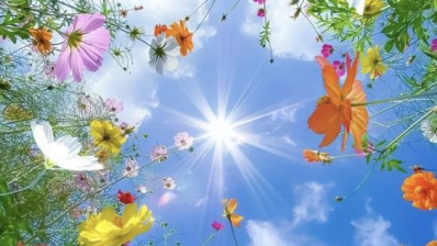 viber_kép_2024-04-20_09-14-44-9031