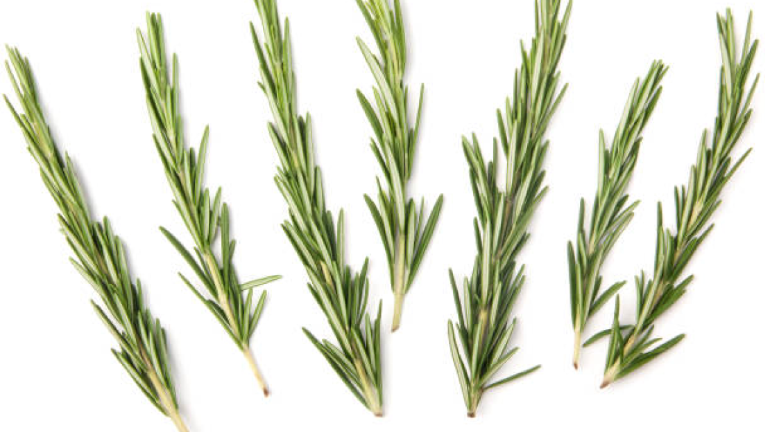 viber_kép_2025-07-03_19-26-38-9731