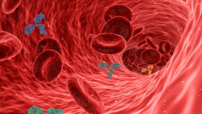 virus-5741636_960_720