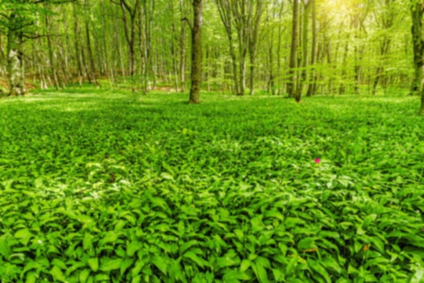 2d039274-3c3e-4cf3-a8d5-2ee21143c98e