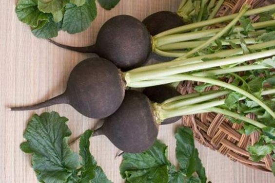 3cf6b052e81d184587eb82d5711bd9cb