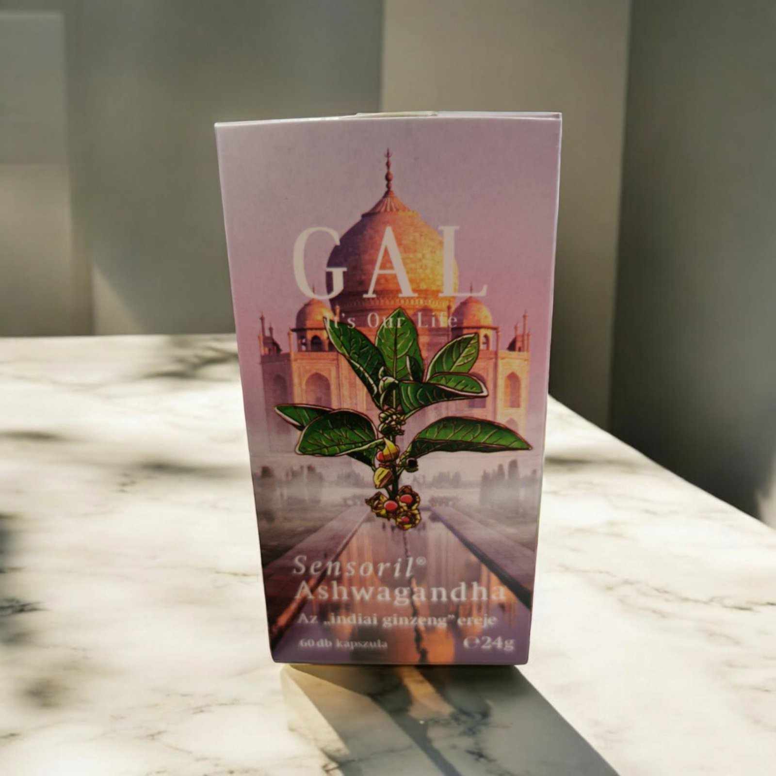 462585720_1245187727176075_8042176870777684368_n