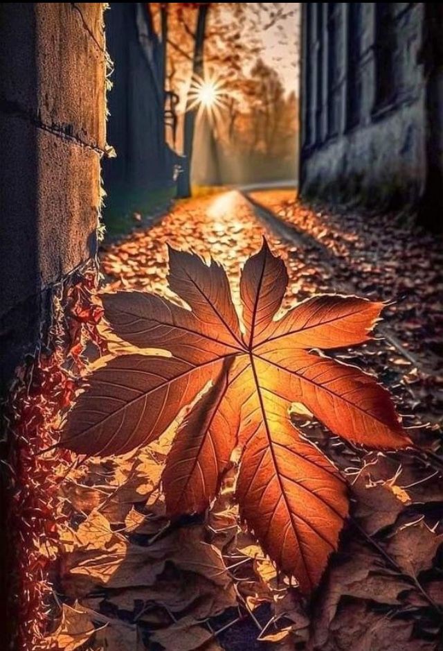 888cb506c9a1d22e50ef8ad2249bbd0a