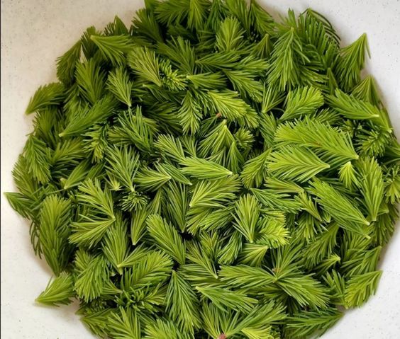 c0458d73d61814168660f4963b2a6189