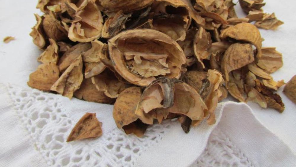 diohej1-e1447173668213