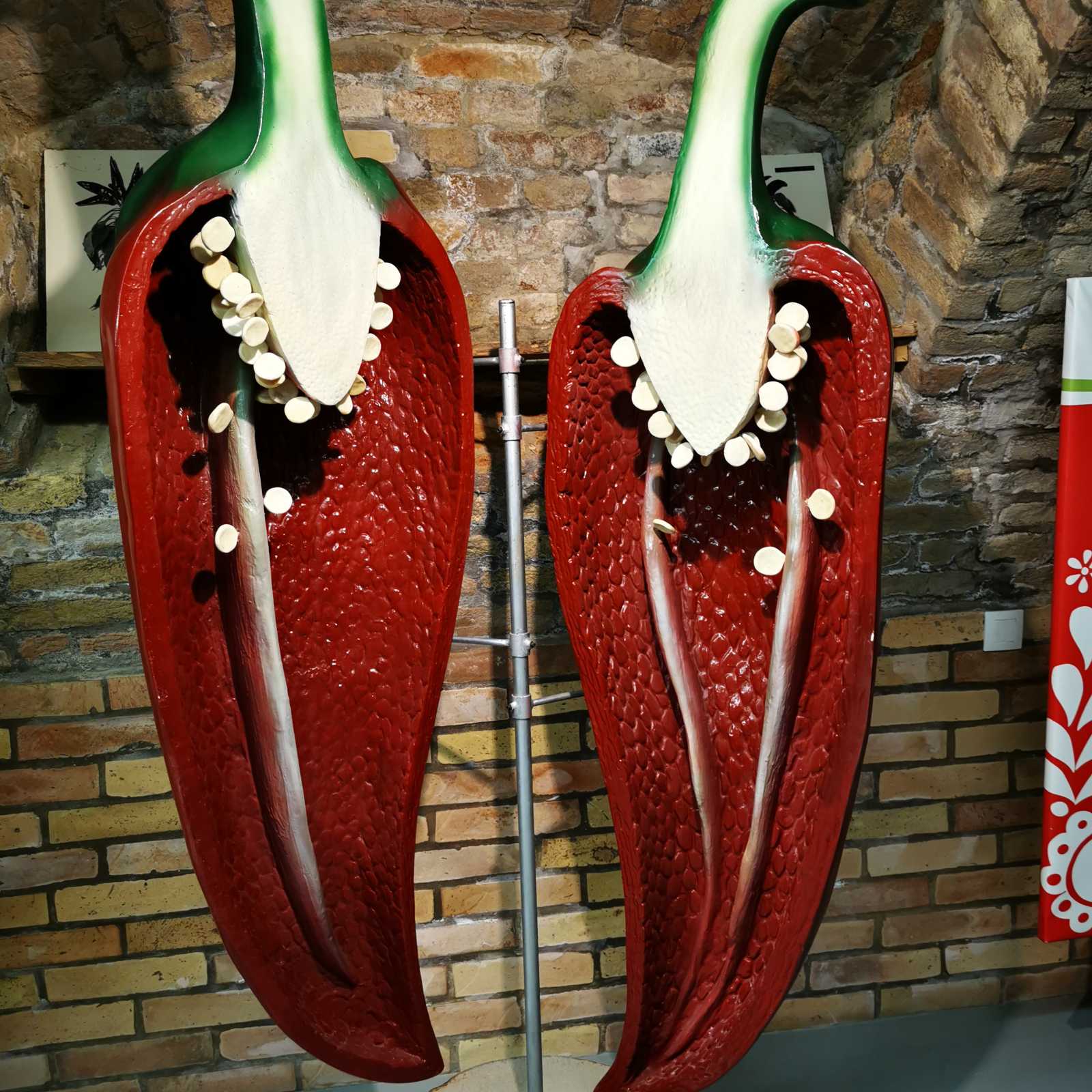 viber_kép_2024-03-12_09-24-35-151