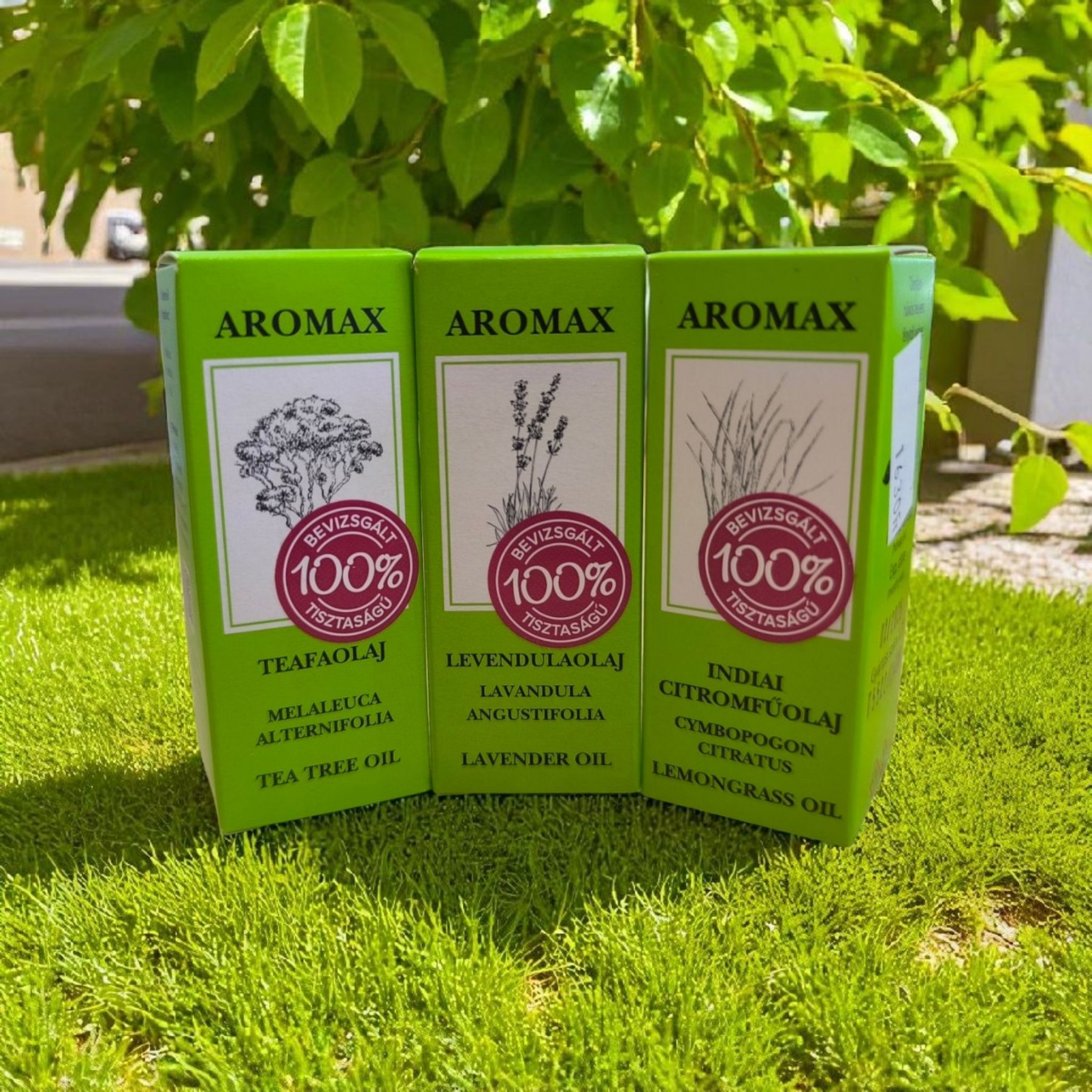 viber_kép_2025-06-23_12-35-35-027